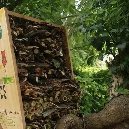 キャンプ場 Accessible Avec Terrasse A - Api-1-52-596 クロン