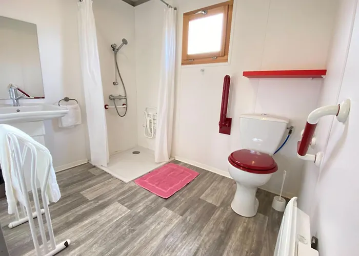 Accessible Avec Terrasse A - Api-1-52-596