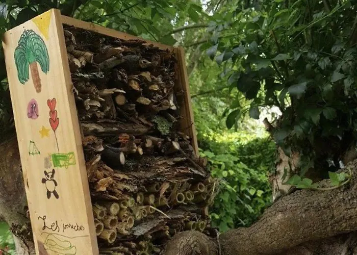 Kemping Accessible Avec Terrasse A - Api-1-52-596 Coulon