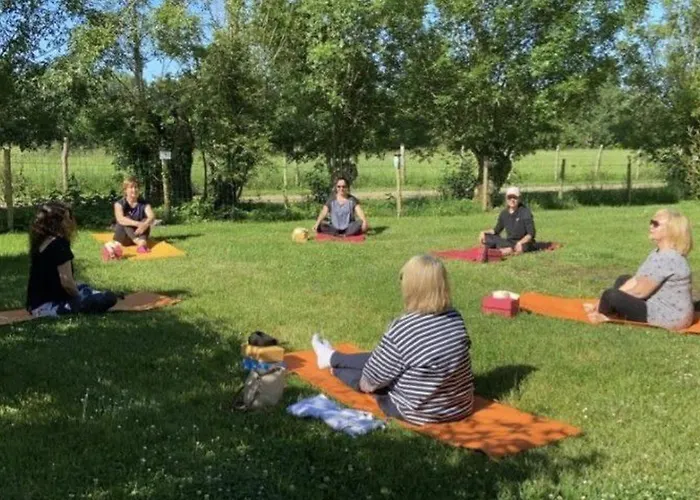 Accessible Avec Terrasse A - Api-1-52-596 Camping Coulon