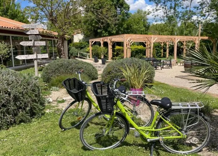 Accessible Avec Terrasse A - Api-1-52-596 Camping Coulon